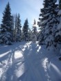 /album/fotogalerie-w/koralpe-2013-020-jpg/